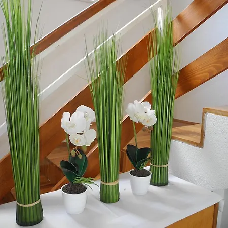 Affittacamere Privathaus Marija 2*