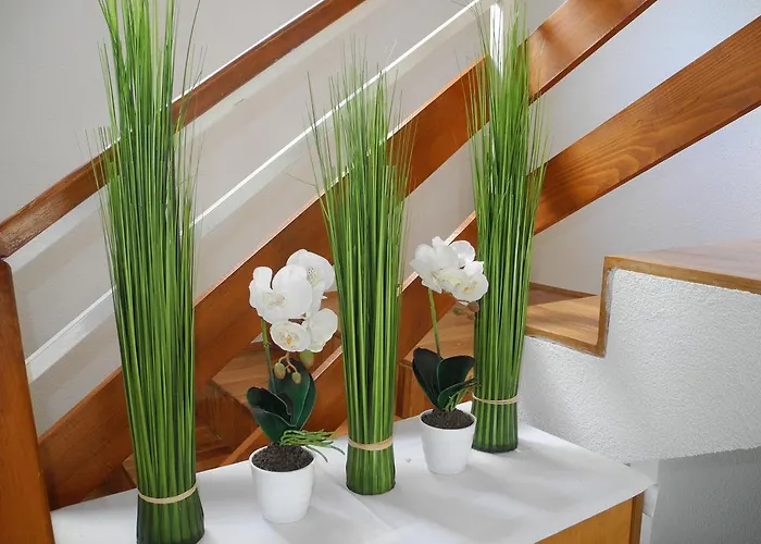 Konukevi Privathaus Marija 2*